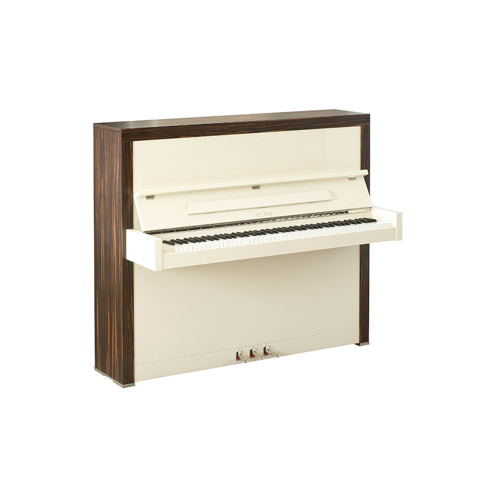 P 123 Cabinet Klavier