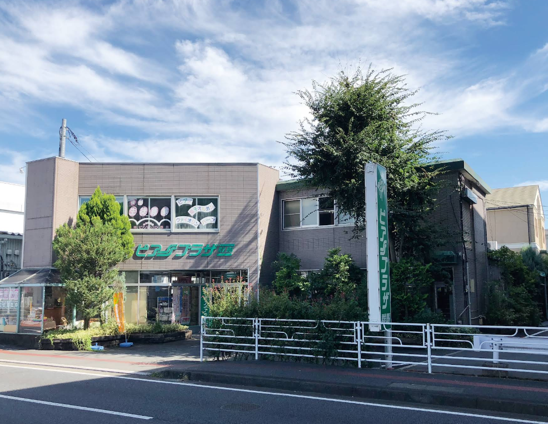 Nihon Piano Holding Co.Ltd.